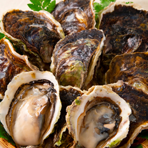 長崎・新上五島町の“超極濃・超特大のプレミアム岩牡蠣”を自宅で堪能しよう！