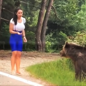 【衝撃動画】野生クマの真横で記念撮影しようとした女性の末路 / 超接近して熊激怒 → 襲われる