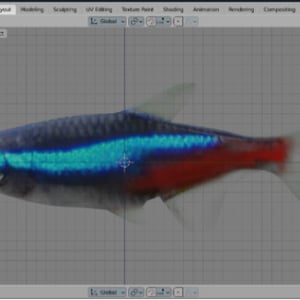 ホログラム動画で魚が空中を泳ぐ水槽アプリ「HoloRium」
