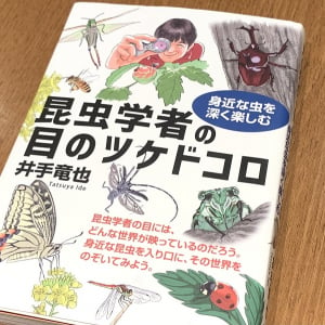 ナミアゲハはなぜミカンの木を見分けられるのか？身近な昆虫の意外な生態