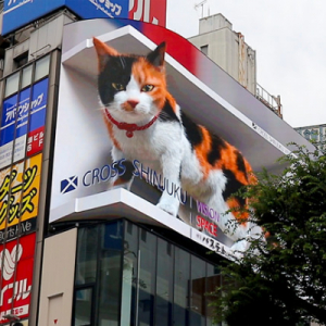 「巨大猫」3D動画が話題の「クロス新宿ビジョン」が本放映をスタート