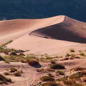 「砂丘」と「砂漠」の違いは何？日本にも砂漠ってあるの？日本一の砂丘が鳥取砂丘じゃないって本当？