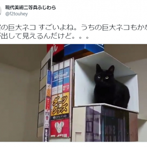 新宿の巨大猫を再現した動画が30万超いいねの大反響 「完全に実写」「猫さん尊い」