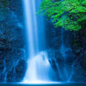 【涼を呼ぶ夏の絶景】関西地域の美しい滝５選