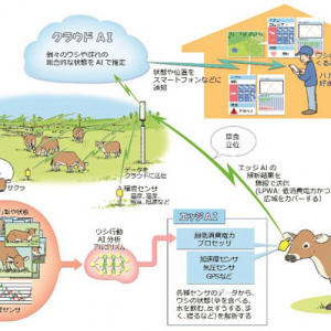 AIモニタリングシステム「PETER」、放牧牛ABLへの有効性検証を開始