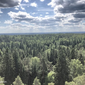 ３６０度、大自然の絶景！フィンランドの森と湖を一望できる、ハメーンリンナのアウランコ国立公園