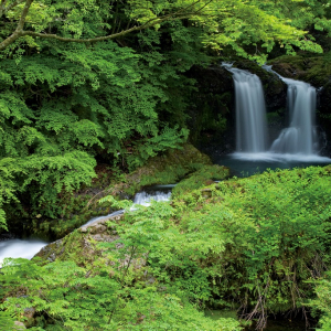 【涼を呼ぶ夏の絶景】甲信越地域の美しい滝５選