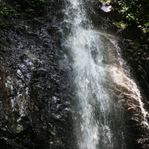 【涼を呼ぶ夏の絶景】南関東地域の美しい滝５選