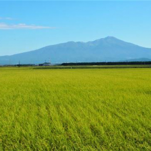 絶景と秘湯に出会う山旅（３１）山の魅力すべてを堪能！名峰・鳥海山と湯ノ田温泉