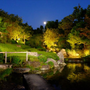 【星のや京都】夜の妙心寺退蔵院を貸切！「月夜の薄紅葉（うすもみじ）狩り」