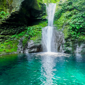 【涼を呼ぶ夏の絶景】北関東地域の美しい滝５選