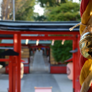 【日本人が知らない神社の秘密まとめ】知ると神社のお参りがもっと楽しくなる豆知識