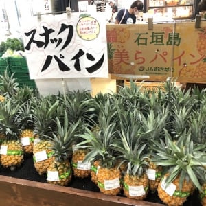 お土産探しなら、ここで決まり！沖縄の美味がひしめく「おんなの駅 なかゆくい市場」【沖縄県恩納村】