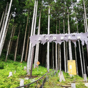 【奈良・天川村】パワースポット、温泉、鍾乳洞・・・車なしでも行ける秘境！心温まる１泊２日の旅