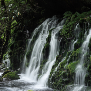 【涼を呼ぶ夏の絶景】東北地域の美しい滝５選