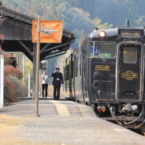 九州・沖縄地方在住者お気に入りの「ご当地言葉」と「ご当地グルメ」【ちょっと面白い都道府県ランキング】