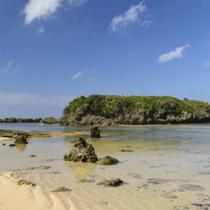 【世界遺産】「奄美大島、徳之島、沖縄島北部および西表島」見どころ１０選