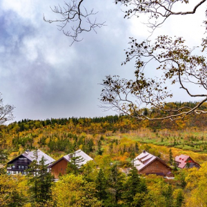 空中散歩で紅葉を楽しむ！紅葉ウィーク２０２１を開催【HAKUBA VALLEY栂池自然園】