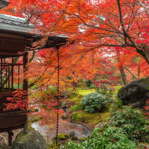 【京都ブライトンホテル】貸切で密を避け、京都の紅葉を愛でる「秋の特別早朝拝観プラン」