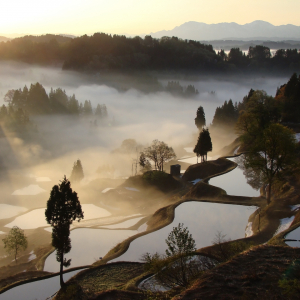 【日本一の○○連載】日本で最も神社の多い都道府県は新潟県！人口も東京より多かった！？