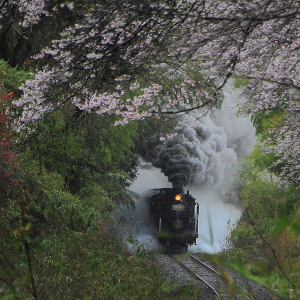 『鬼滅の刃』煉獄さんを思って巡りたい！「無限列車」のフォトスポット６選