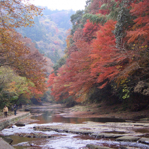 紅葉の山へ！日帰りで楽しむ秋のおすすめハイキングコース5選