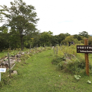 3000平方メートルの湿原を学ぶ「霧多布湿原センター」【北海道浜中町の旅7】