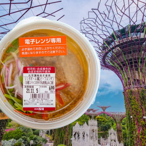 【成城石井エスニック惣菜レビュー】ビーフルンダンはスパイシーでご飯に合う