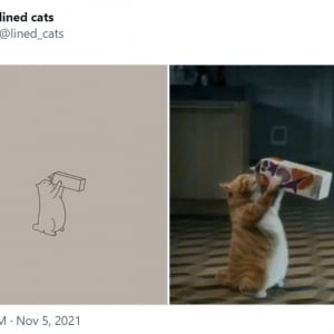 猫の写真を線画にするTwitterアカウント 「Tシャツとかあったら必ず買うけどな」「タトゥーの参考にさせてもらいます」