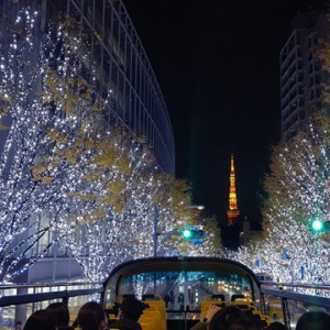 東京タワーやイチョウ並木！紅葉とイルミネーションをスカイバスで巡るツアー