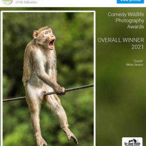 2021年度コメディー野生動物写真賞の受賞作品が発表