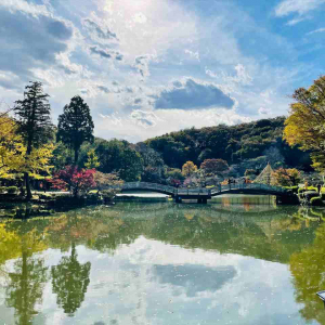 東京都町田市・薬師池「紅葉まつり」開催中！ライトアップやイベントも