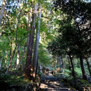 【滋賀の旅】 聖徳太子創建、信長焼き討ち。今は「紅葉の名所」の県最古の寺を行く