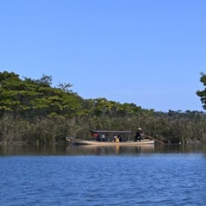 【滋賀の旅】 気分は織田信長!? 現代人こそおすすめ「近江八幡の水郷めぐり」の癒し効果