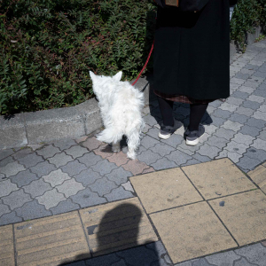 いつかどこかで見た、あの時の記憶。蓮井元彦個展「写真はこころ」