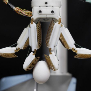 ヒントはヤモリ！ 卵をつかめるロボットハンド「FarmHand」をスタンフォード大学が発表