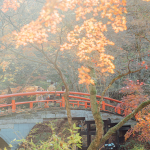 【群馬・伊香保温泉】四季折々の美しい景観に出合える河鹿橋へ