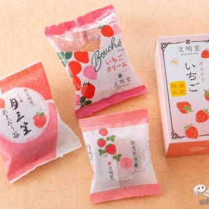 【期間限定】季節の味が存分にたのしめる！ 文明堂の「いちご商品」から『カステラ・月三笠・ブッセ・カステラ巻』の全ラインナップを紹介しよう！