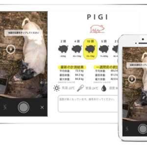 スマホで豚の体重が測れる「PIGI」無料版リリース！ AI活用で勘と経験に頼らない養豚を