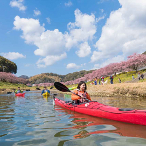 800本の「河津桜」をカヤックで愛でる体験を！休暇村南伊豆がツアー開催中