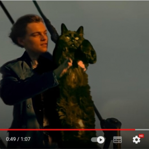 映画『タイタニック』のローズが猫になったパロディ動画 「キャット・ウィンスレット」「最後のスケッチブックのシーンで爆笑」