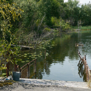 チェルノブイリに行ったら魚釣り禁止の池から釣り人が逃げてった