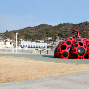 【離島暮らしのリアル】直島移住はじめて雑記～第9回：島に住んで変わったこと