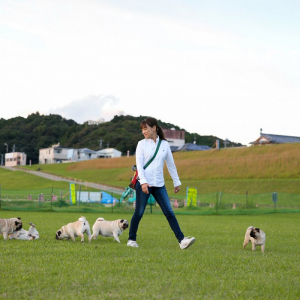 【高知県・四万十】愛犬の楽園!?大自然と遊ぶドッグラン施設プロジェクト