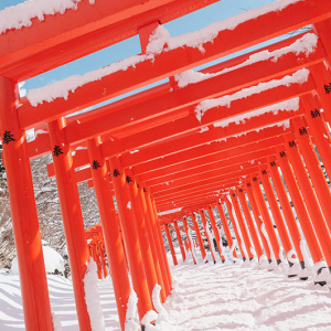 【雪景色・撮影スポット】高山稲荷神社、鶴の舞橋。真冬の青森旅