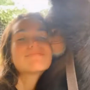 女の子が顔を寄せると、ぎゅっと抱きしめてくれるチンパンジー。その優しさで包みこむような姿が尊い