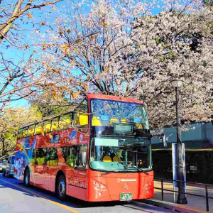 コロナ禍こその新感覚お花見！2階建てバスや水陸両用バスで楽しむ「桜WEEK」