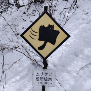 「なにこのクッソ可愛い看板」軽井沢の山道で撮影された『ムササビ横断注意』の道路標識がゆるくてかわいい【16万件以上のいいねが集まる大反響】