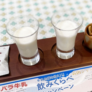 あなたは白バラ牛乳派!?東京・新橋で無料「人気牛乳飲みくらべ体験」が実施中