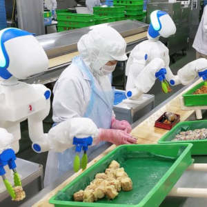 これぞ協働！ 人型ロボットが食品工場で盛り付け作業、弁当・レトルト惣菜を製造